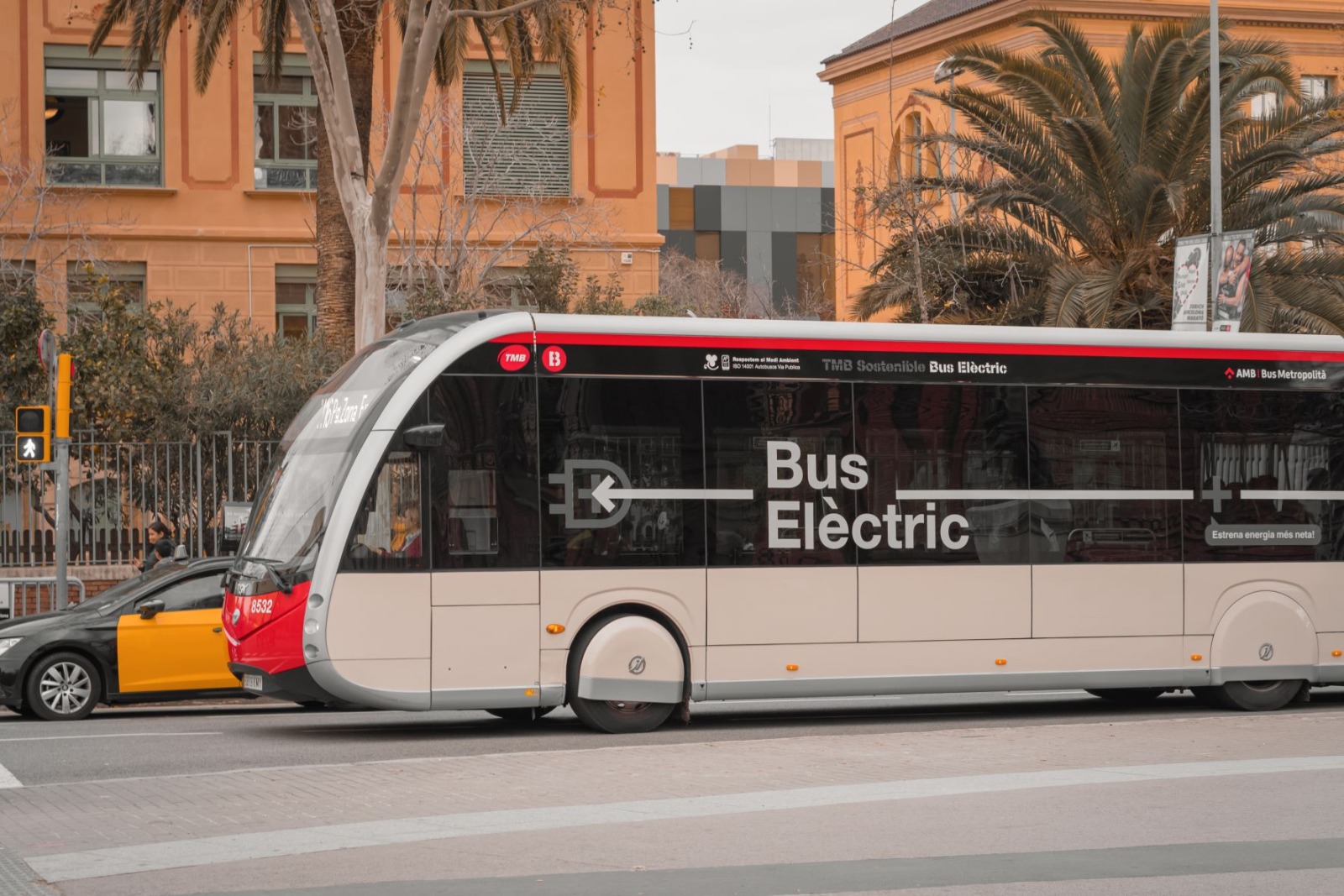 bus